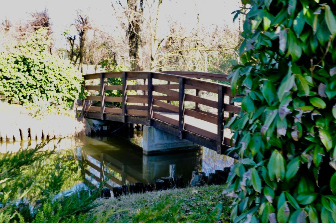 Giardino Di Rebecca Bed & Breakfast Castiglione di Ravenna Bagian luar foto